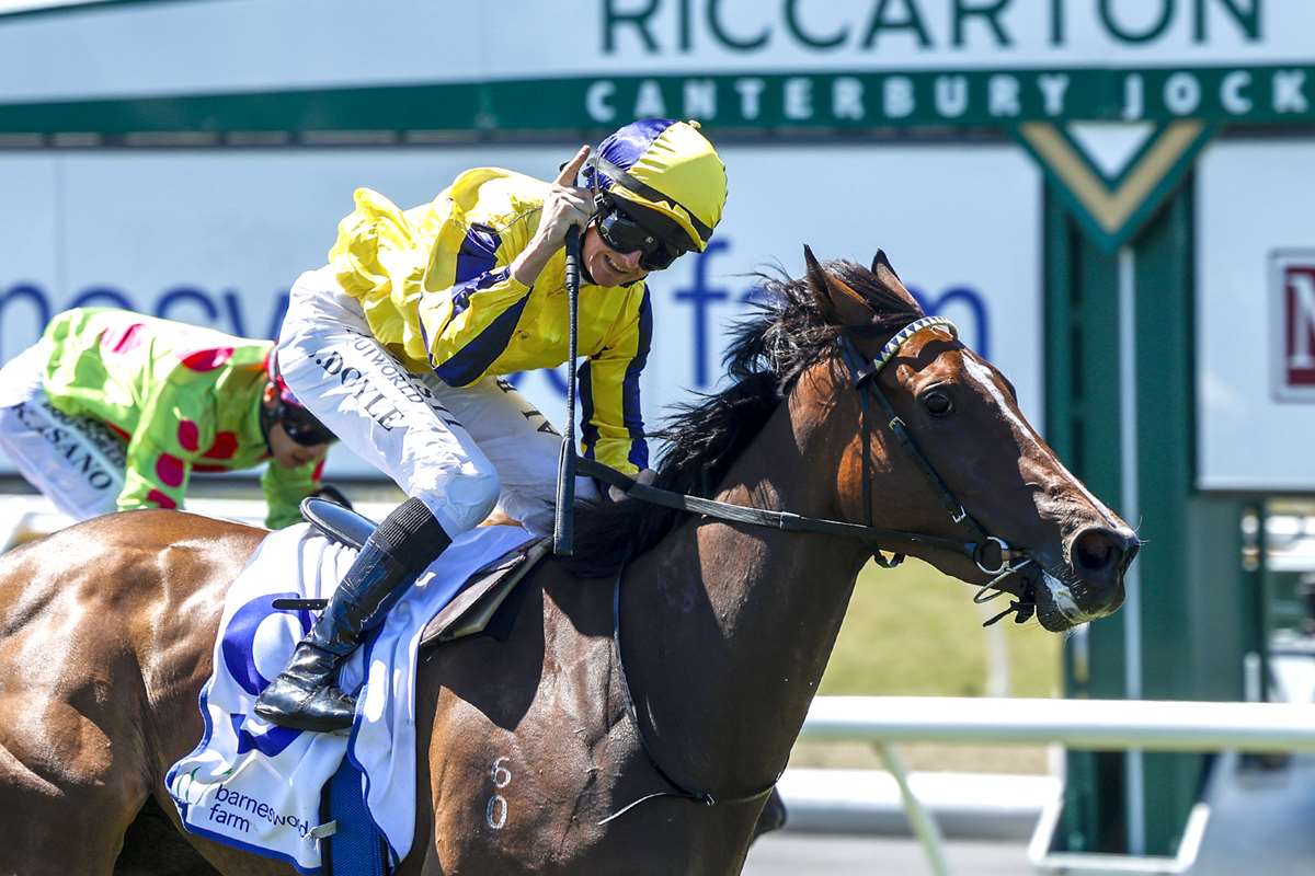 Molly Bloom heads Wexford quartet in Karaka Millions 3YO